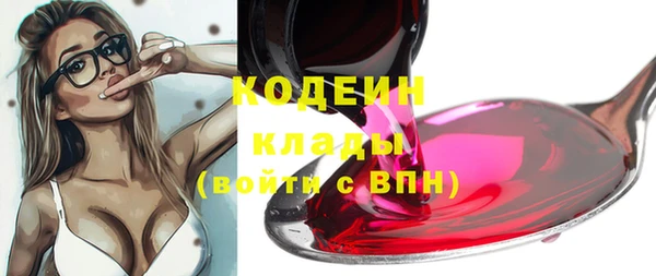 молекула духа Дмитриев