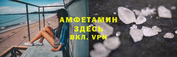 молекула духа Дмитриев