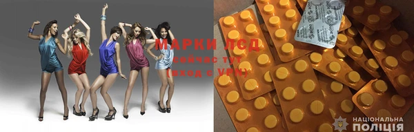 молекула духа Дмитриев