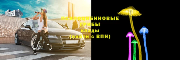 прущая мука Дмитров
