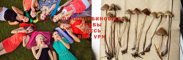 молекула духа Дмитриев