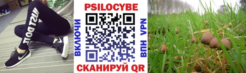 Псилоцибиновые грибы Cubensis  Купить где  Карабаш 